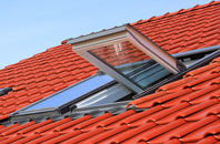 Edgwick roof window